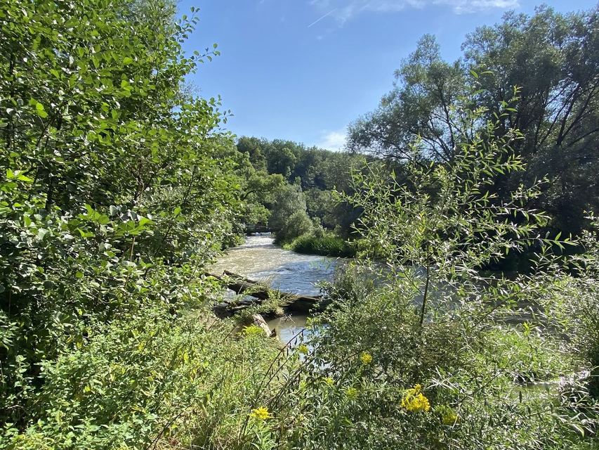 Druidenpfad — le sentier des Druides — photo 56