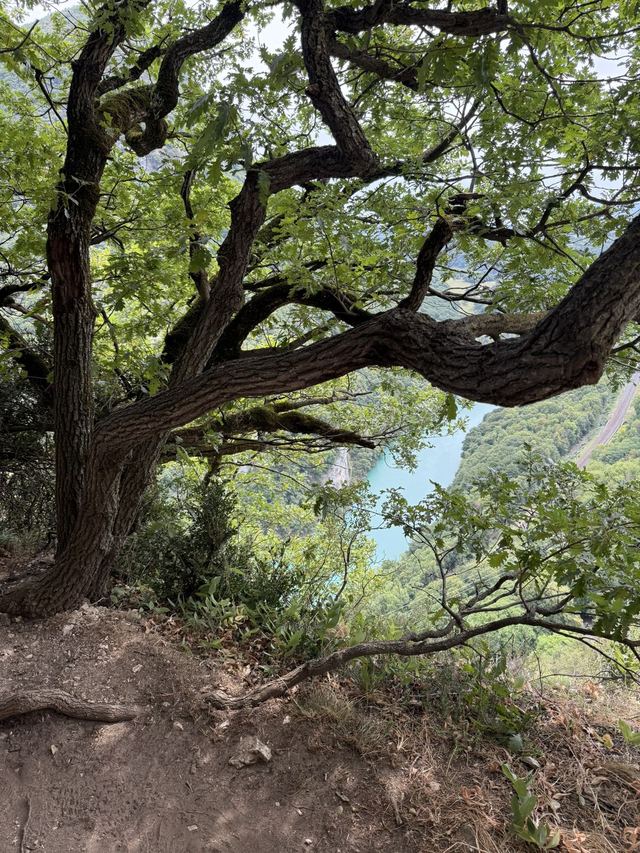 Via ferrata de Fort l'Écluse — photo 22