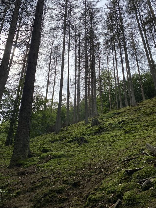 Freudenburg — Parc naturel Sarre-Hunsrück — photo 4