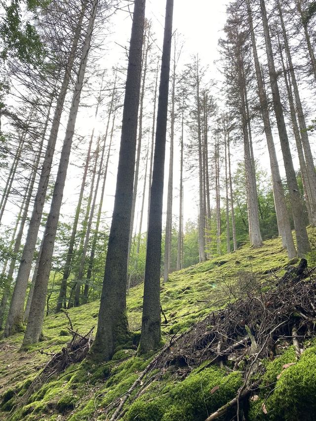 Freudenburg — Parc naturel Sarre-Hunsrück — photo 5