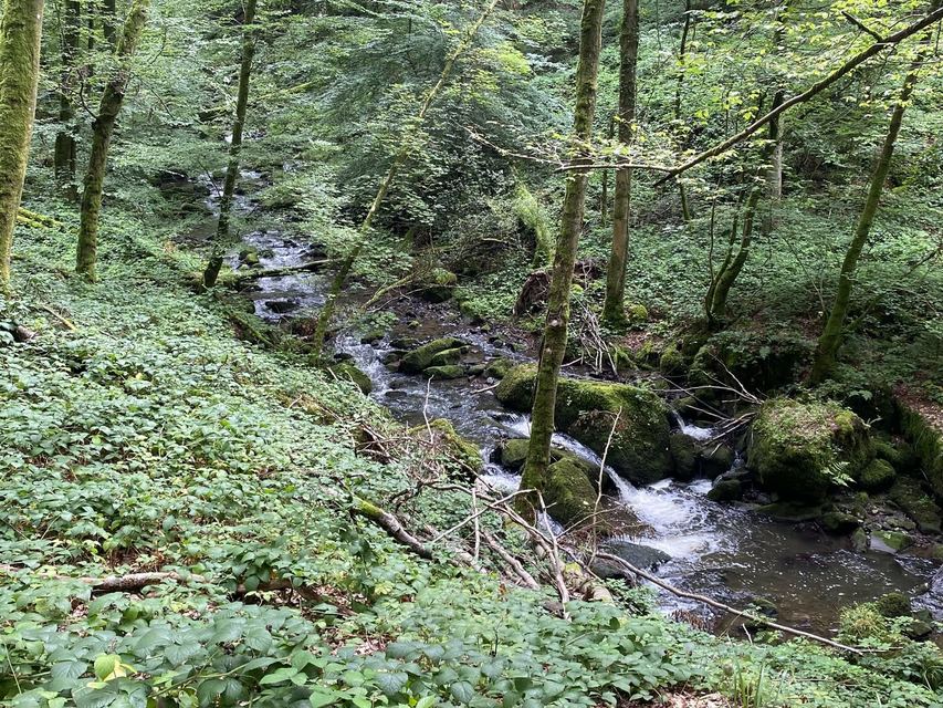 Freudenburg — Parc naturel Sarre-Hunsrück — photo 10