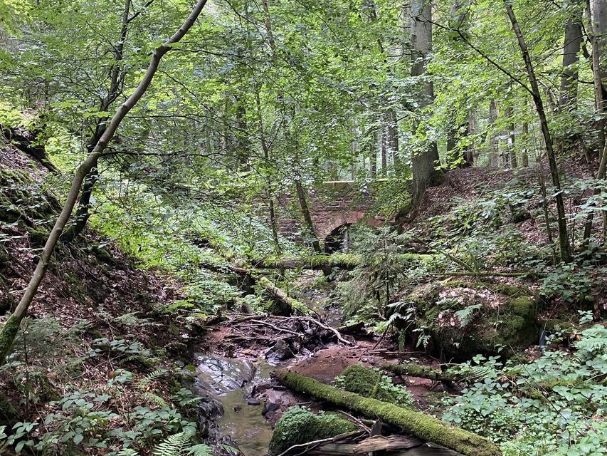 Freudenburg — Parc naturel Sarre-Hunsrück — photo 12
