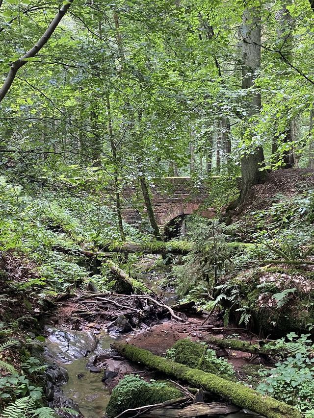 Freudenburg — Parc naturel Sarre-Hunsrück — photo 13