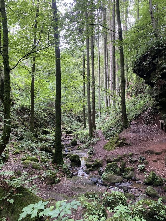 Freudenburg — Parc naturel Sarre-Hunsrück — photo 14