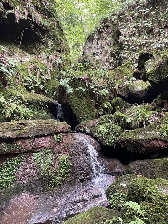 Freudenburg — Parc naturel Sarre-Hunsrück — photo 16