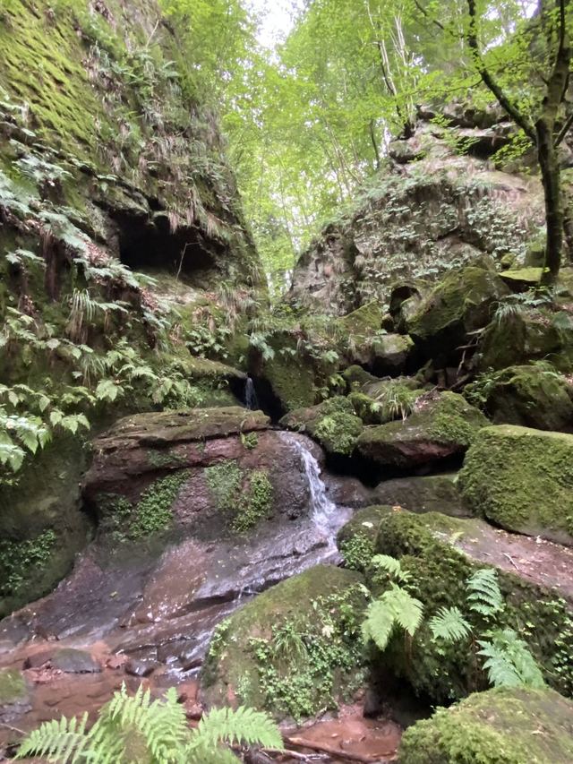 Freudenburg — Parc naturel Sarre-Hunsrück — photo 17