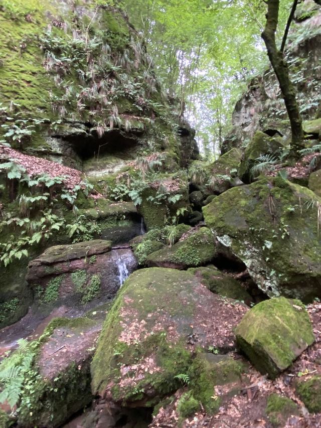 Freudenburg — Parc naturel Sarre-Hunsrück — photo 19