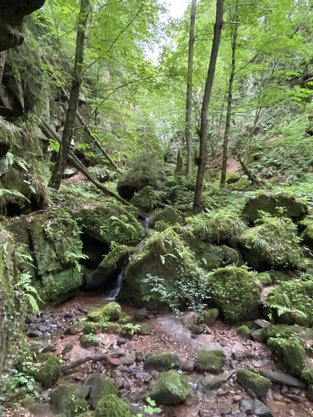 Freudenburg — Parc naturel Sarre-Hunsrück — photo 22