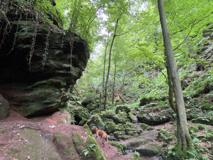 Freudenburg — Parc naturel Sarre-Hunsrück — photo 23