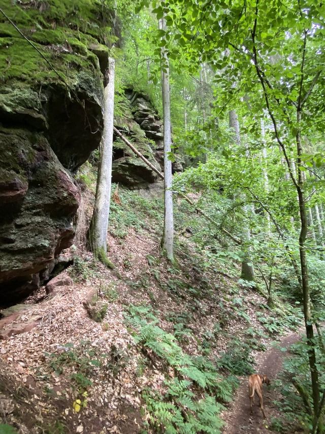 Freudenburg — Parc naturel Sarre-Hunsrück — photo 25
