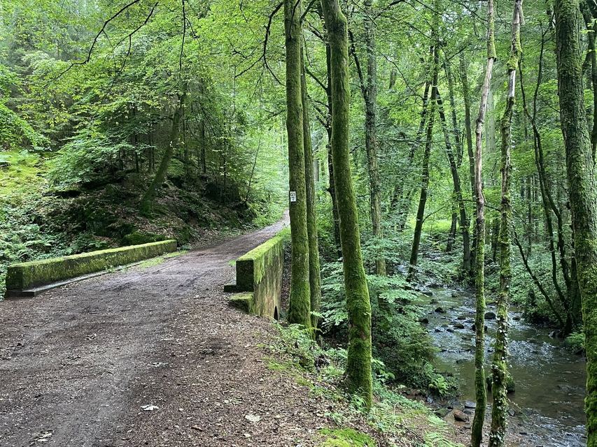 Freudenburg — Parc naturel Sarre-Hunsrück — photo 26
