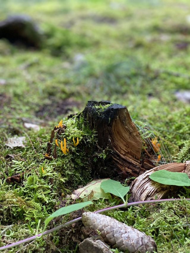 Freudenburg — Parc naturel Sarre-Hunsrück — photo 27