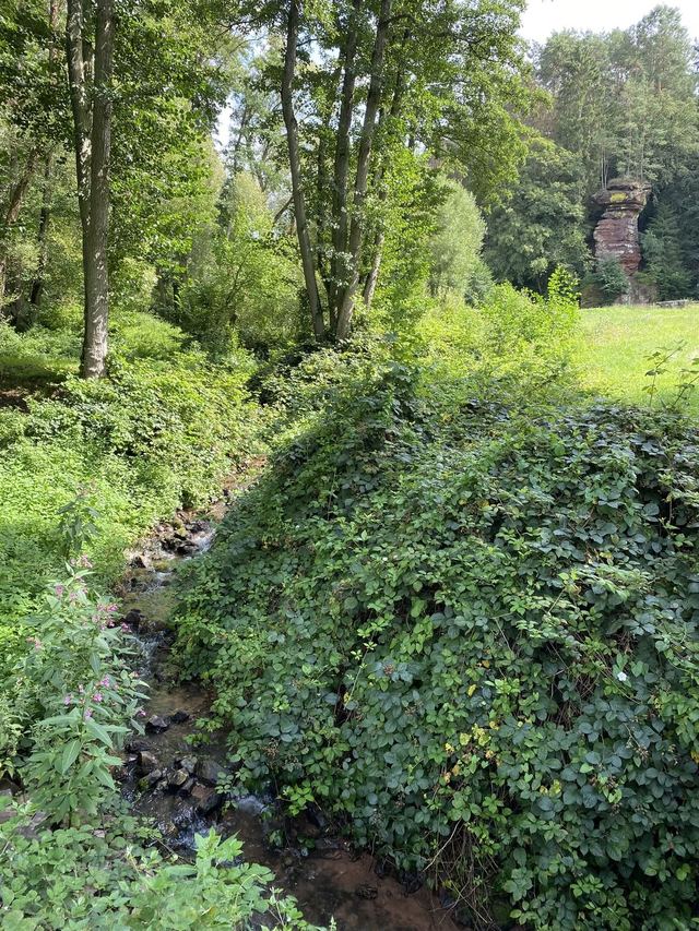 Freudenburg — Parc naturel Sarre-Hunsrück — photo 31
