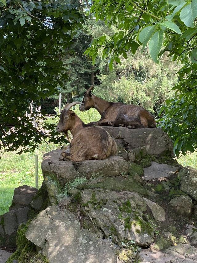 Freudenburg — Parc naturel Sarre-Hunsrück — photo 32