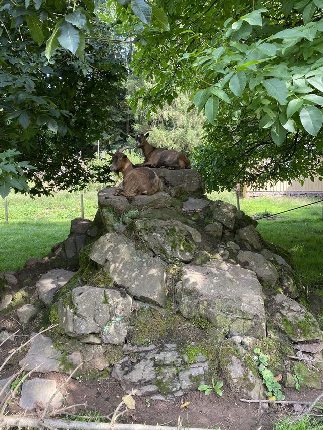 Freudenburg — Parc naturel Sarre-Hunsrück — photo 33
