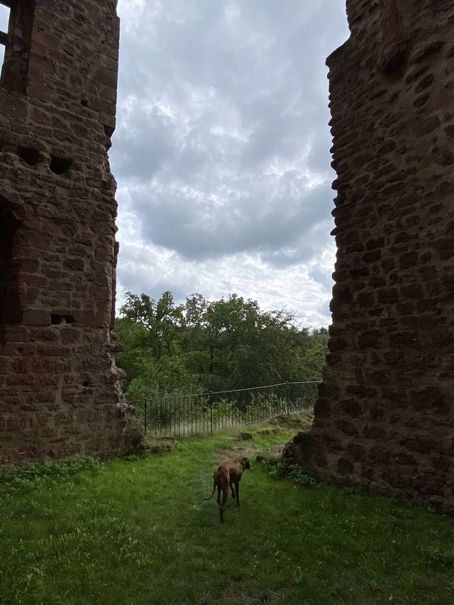 Freudenburg — Parc naturel Sarre-Hunsrück — photo 42