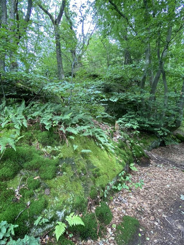 Freudenburg — Parc naturel Sarre-Hunsrück — photo 49