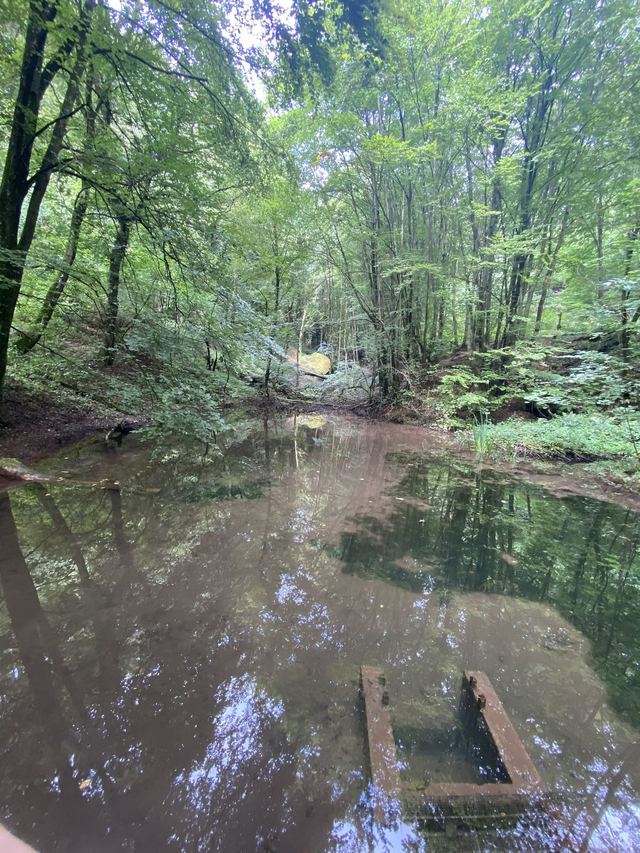 Freudenburg — Parc naturel Sarre-Hunsrück — photo 50