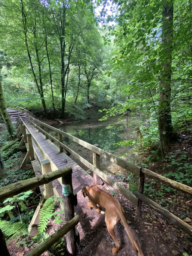 Freudenburg — Parc naturel Sarre-Hunsrück — photo 51