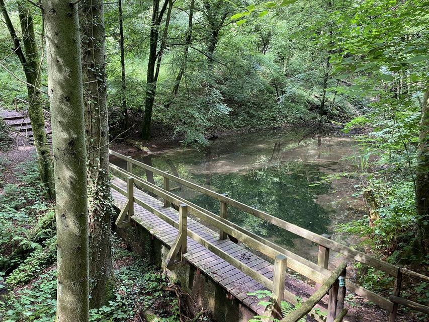 Freudenburg — Parc naturel Sarre-Hunsrück — photo 52