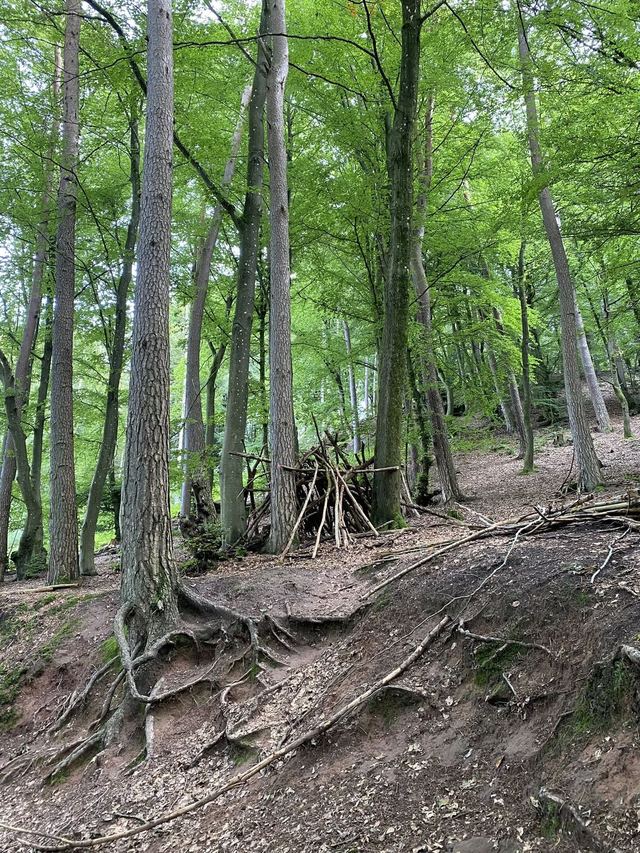 Freudenburg — Parc naturel Sarre-Hunsrück — photo 55
