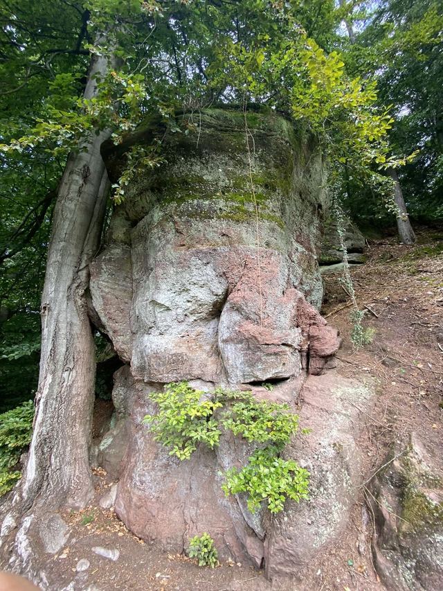 Freudenburg — Parc naturel Sarre-Hunsrück — photo 56