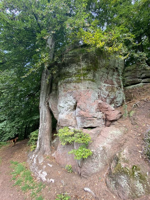 Freudenburg — Parc naturel Sarre-Hunsrück — photo 57