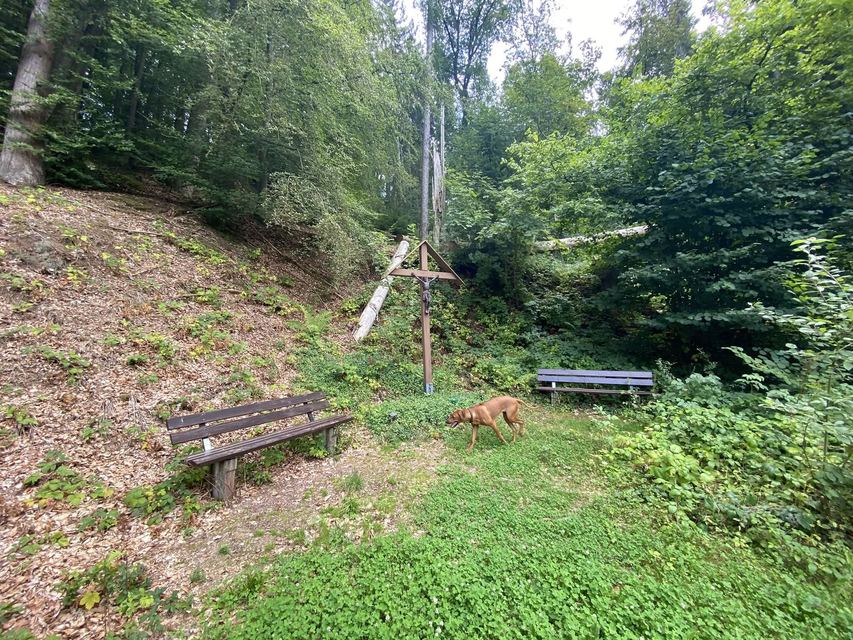 Freudenburg — Parc naturel Sarre-Hunsrück — photo 59