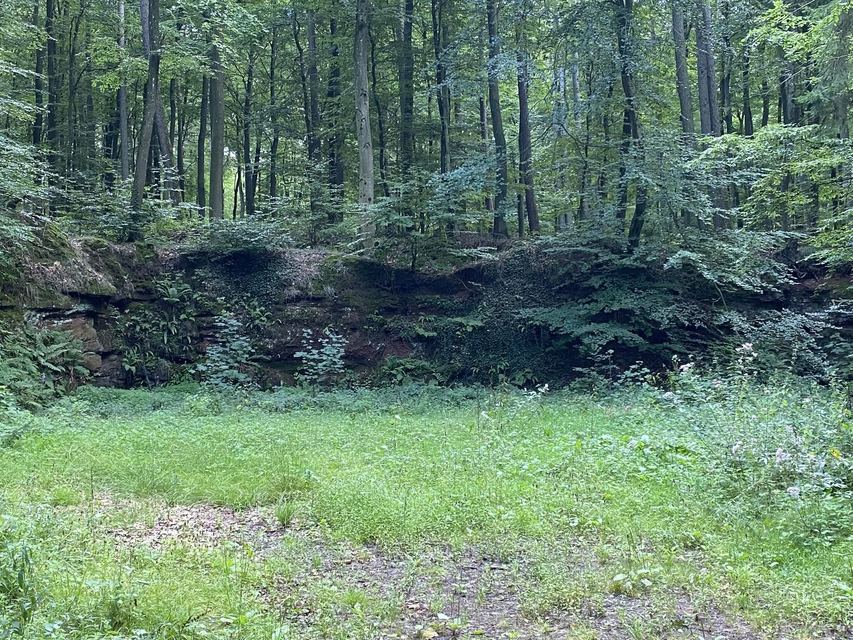 Freudenburg — Parc naturel Sarre-Hunsrück — photo 60