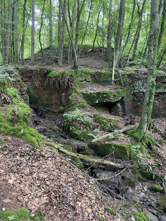 Freudenburg — Parc naturel Sarre-Hunsrück — photo 62