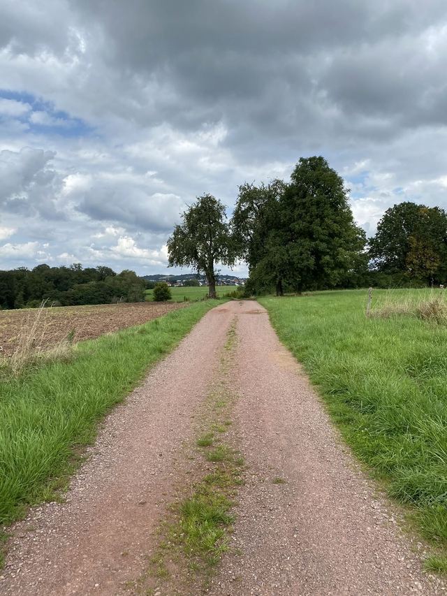 Freudenburg — Parc naturel Sarre-Hunsrück — photo 69