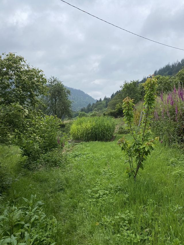 Boucle Cascade du Géhard — Étang de Villerain — photo 17