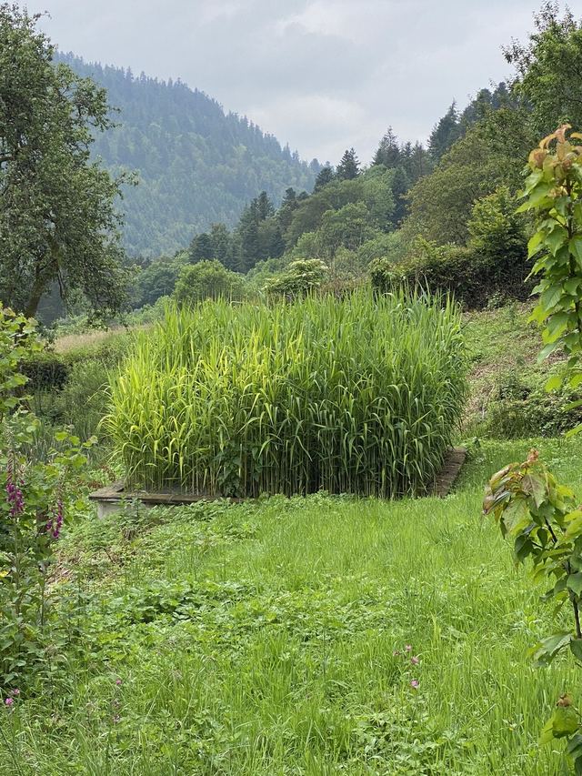 Boucle Cascade du Géhard — Étang de Villerain — photo 18