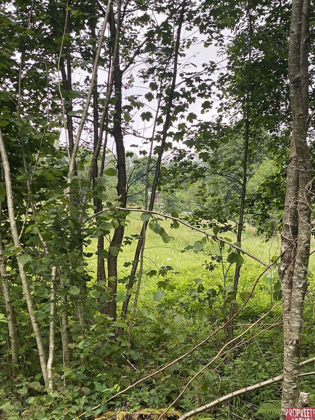Boucle Cascade du Géhard — Étang de Villerain — photo 21
