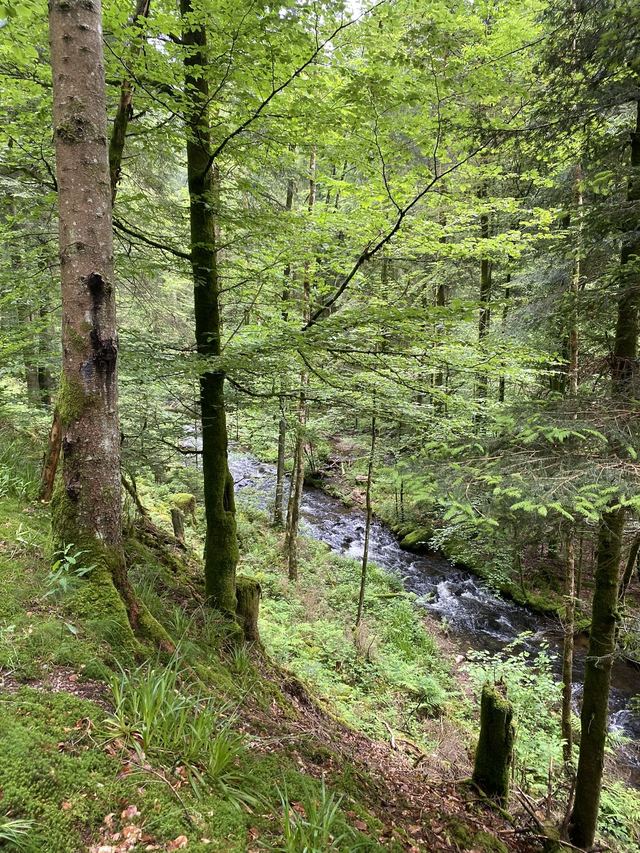 Boucle Cascade du Géhard — Étang de Villerain — photo 24