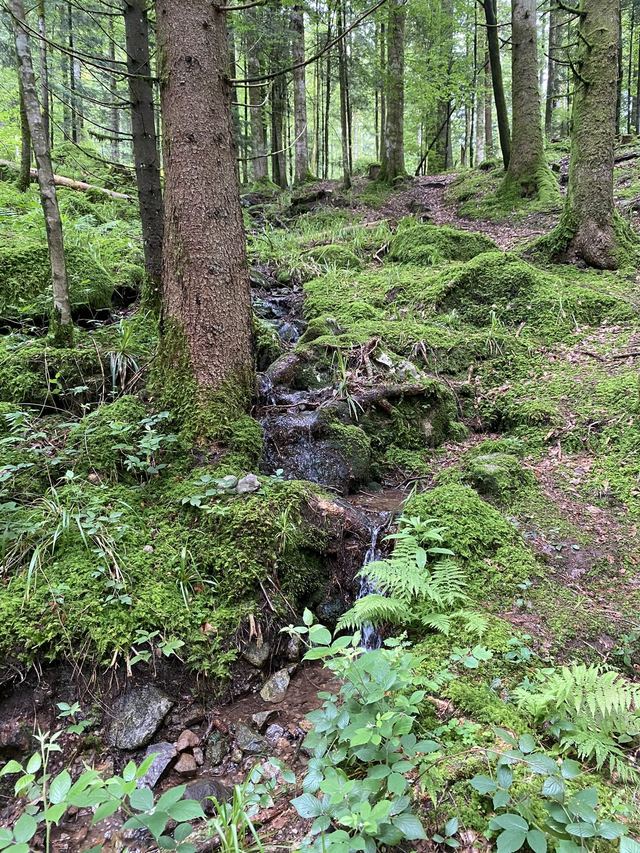 Boucle Cascade du Géhard — Étang de Villerain — photo 25