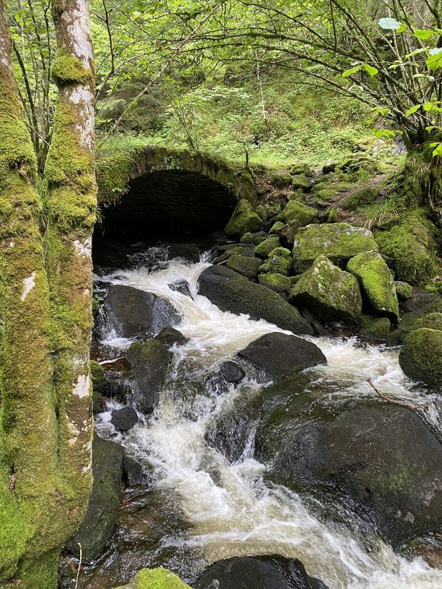 Boucle Cascade du Géhard — Étang de Villerain — photo 2