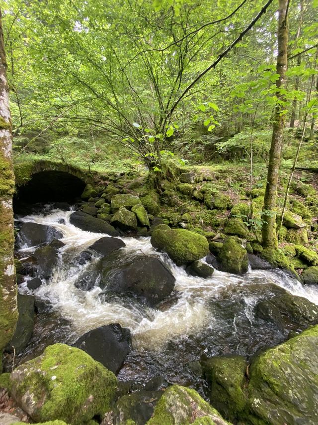 Boucle Cascade du Géhard — Étang de Villerain — photo 26