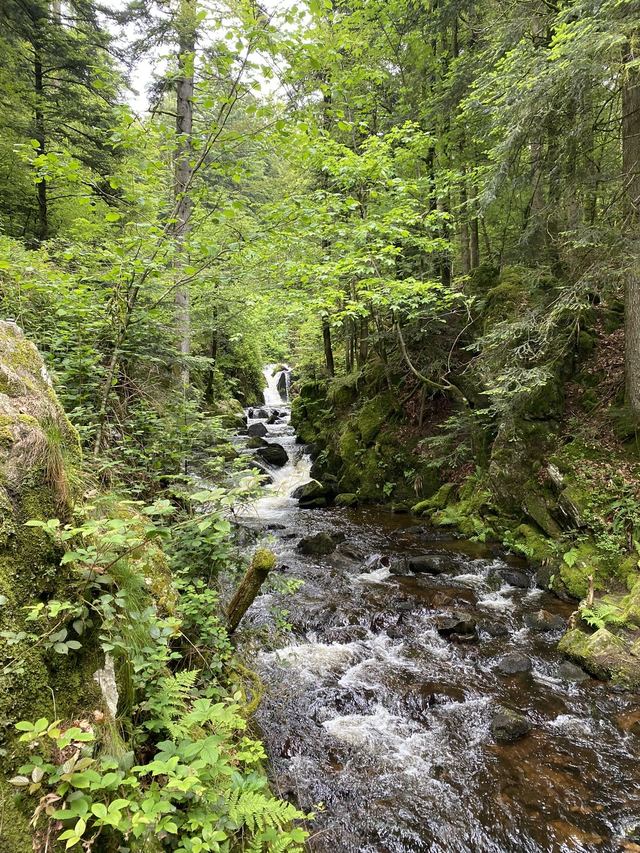Boucle Cascade du Géhard — Étang de Villerain — photo 27