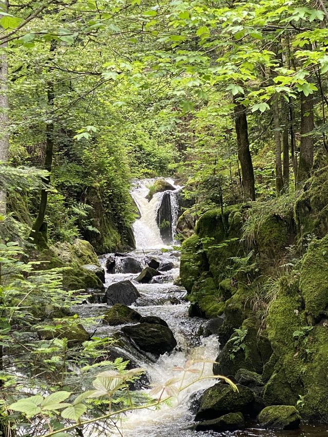 Boucle Cascade du Géhard — Étang de Villerain — photo 3