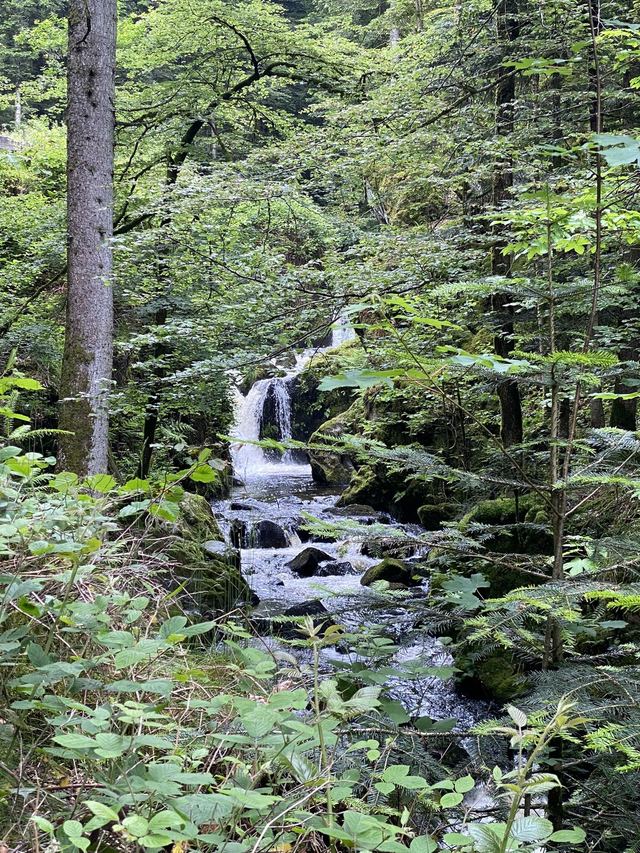 Boucle Cascade du Géhard — Étang de Villerain — photo 4
