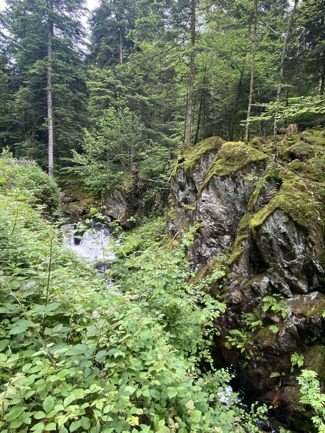 Boucle Cascade du Géhard — Étang de Villerain — photo 28