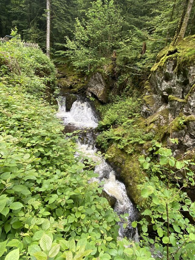 Boucle Cascade du Géhard — Étang de Villerain — photo 29