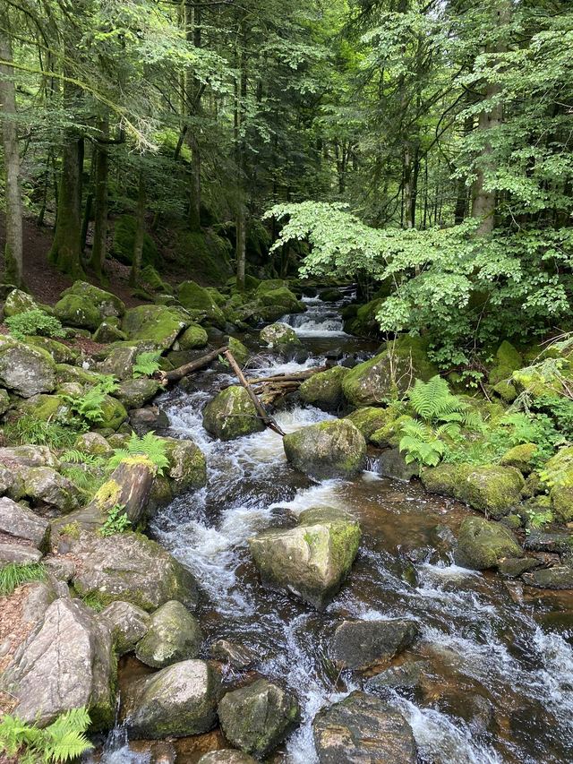 Boucle Cascade du Géhard — Étang de Villerain — photo 12