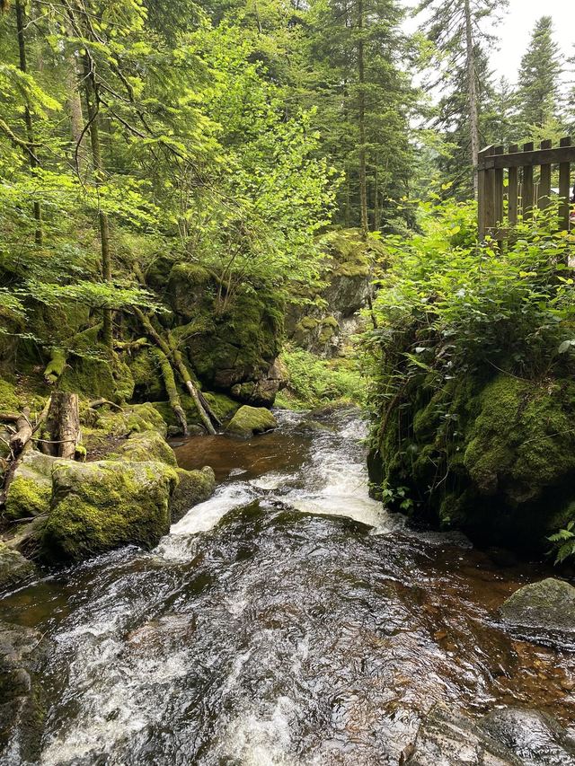 Boucle Cascade du Géhard — Étang de Villerain — photo 30