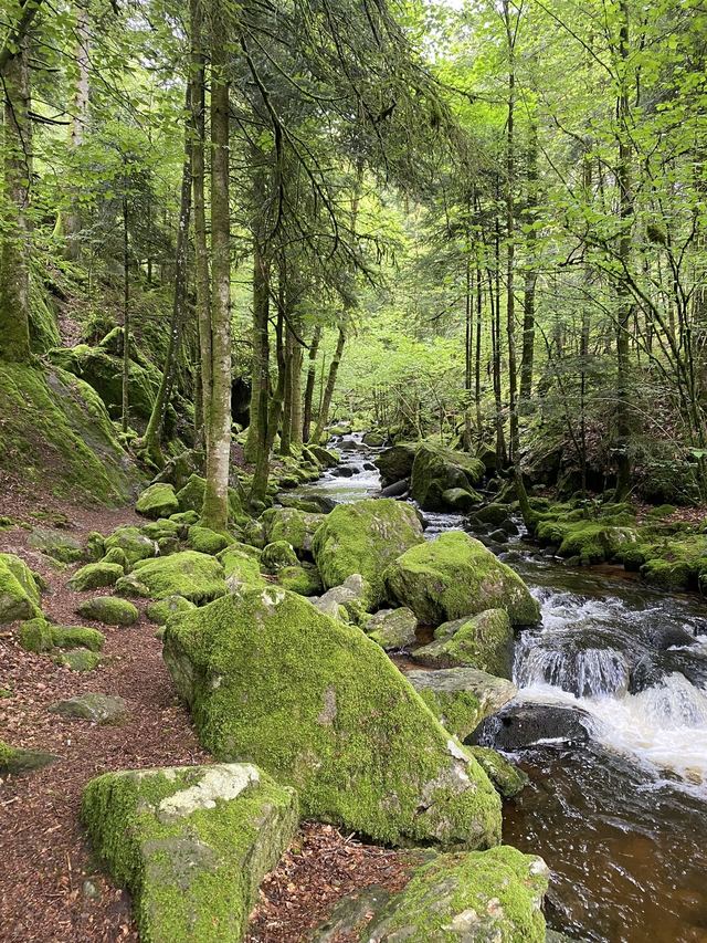 Boucle Cascade du Géhard — Étang de Villerain — photo 13