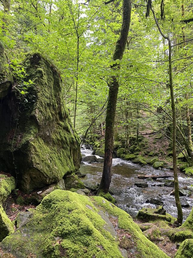 Boucle Cascade du Géhard — Étang de Villerain — photo 31