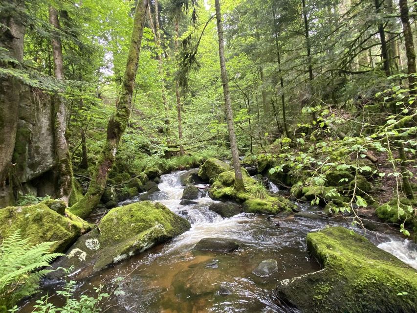 Boucle Cascade du Géhard — Étang de Villerain — photo 1