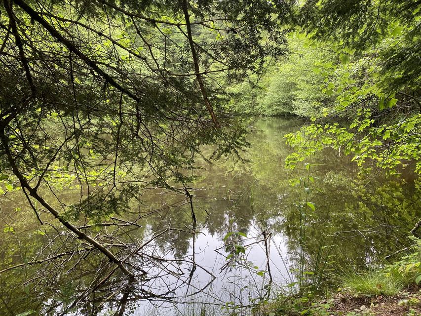 Boucle Cascade du Géhard — Étang de Villerain — photo 32