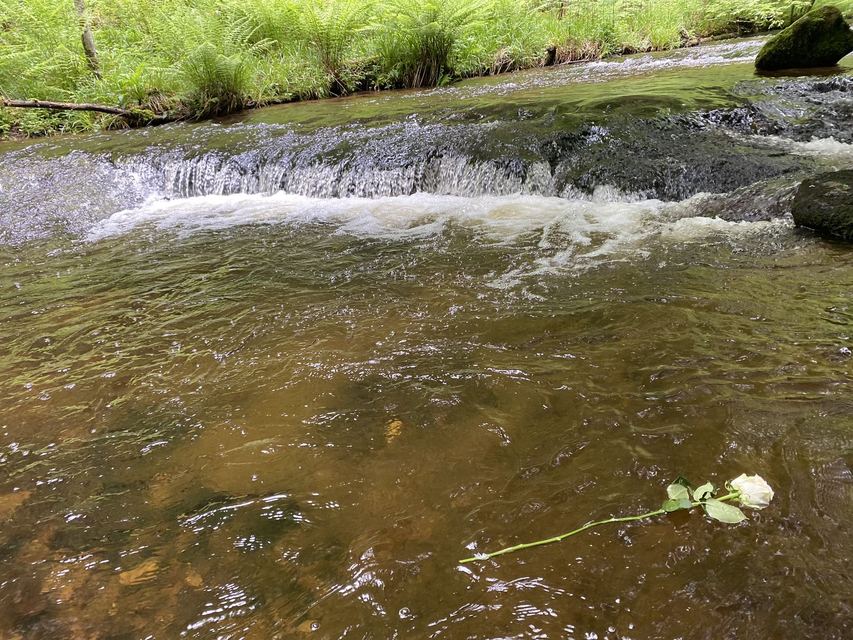 Boucle Cascade du Géhard — Étang de Villerain — photo 35